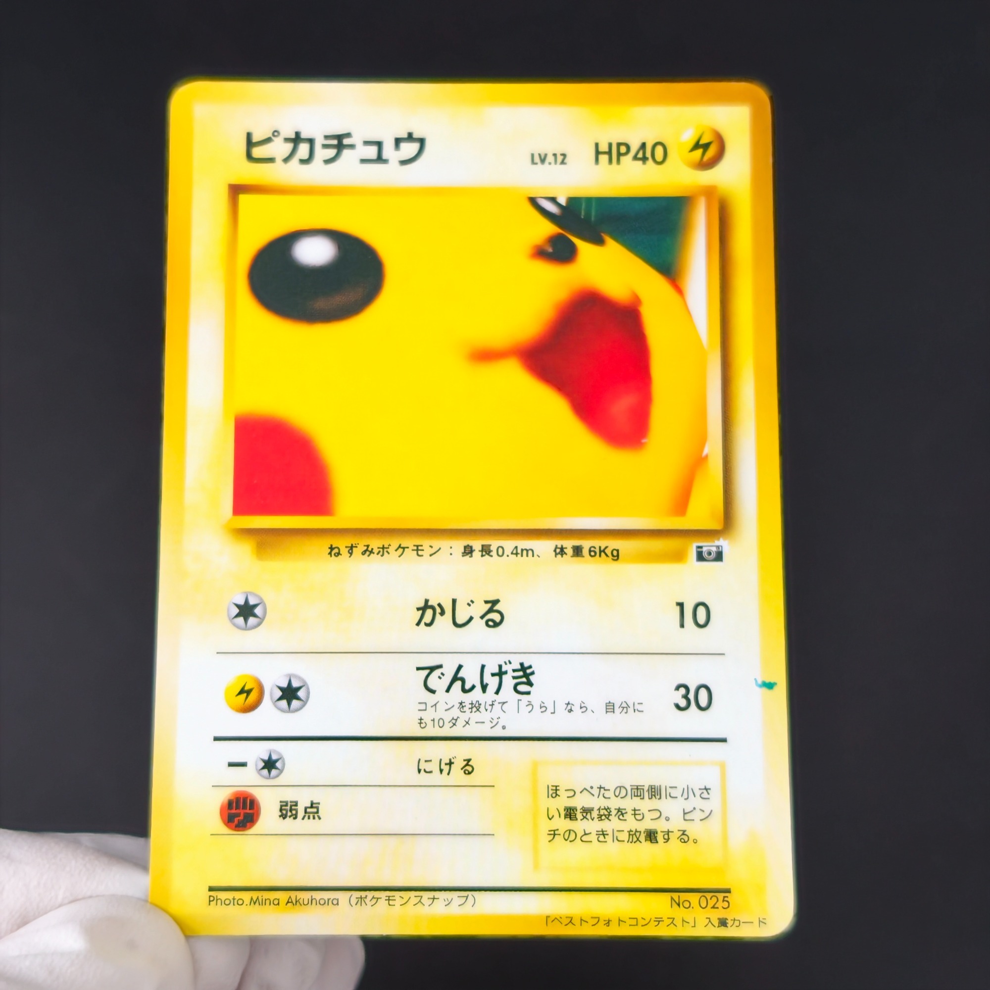 Retro Gaming Pokemon - 10 Cartas Colecionáveis Pokémon Vintage: Bulbasaur,